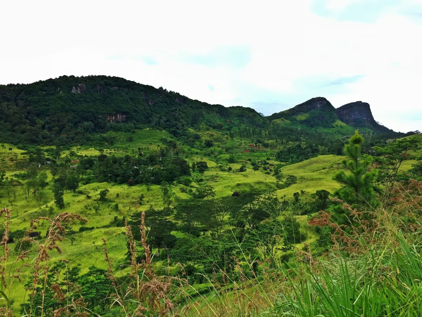 Yoga, Voyage & Ayurveda au Sri Lanka : Une aventure pour l'âme