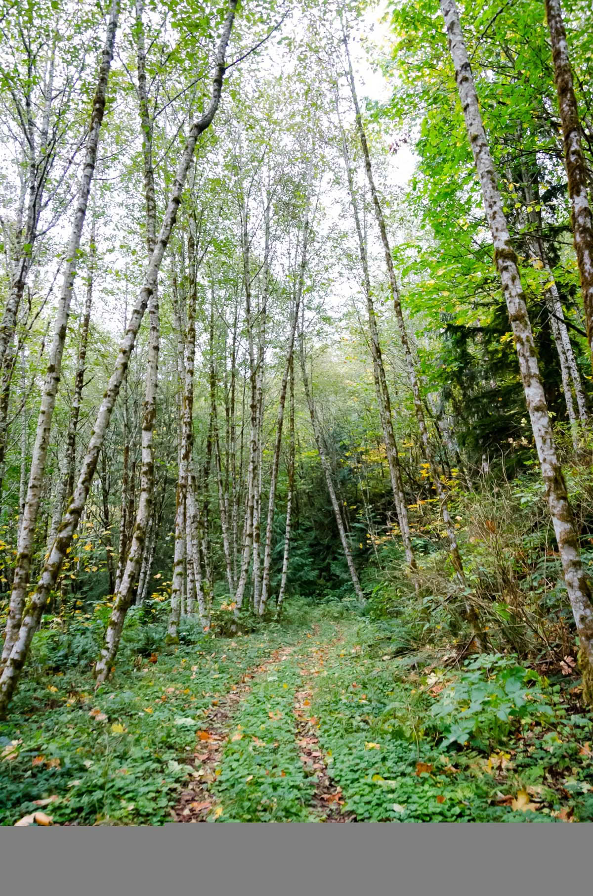 Retraite de yoga et de méditation de l’équinoxe d’automne