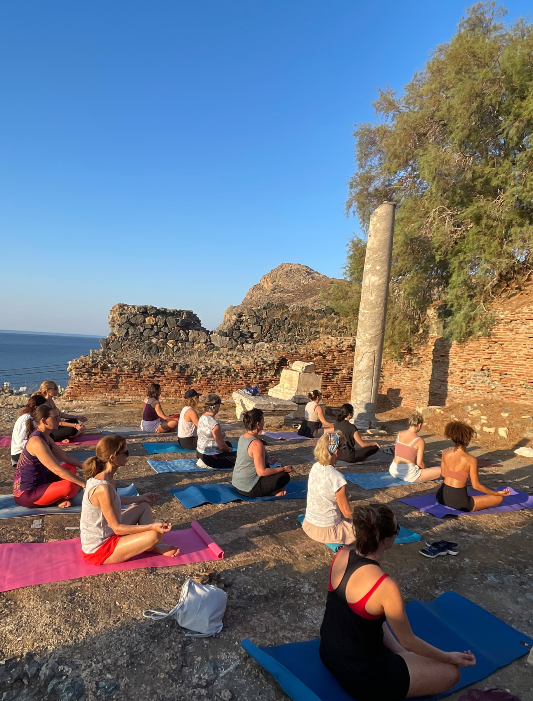 Formation intensive de yoga 100-H sur 10 jours, du 07 au 16 novembre 2026