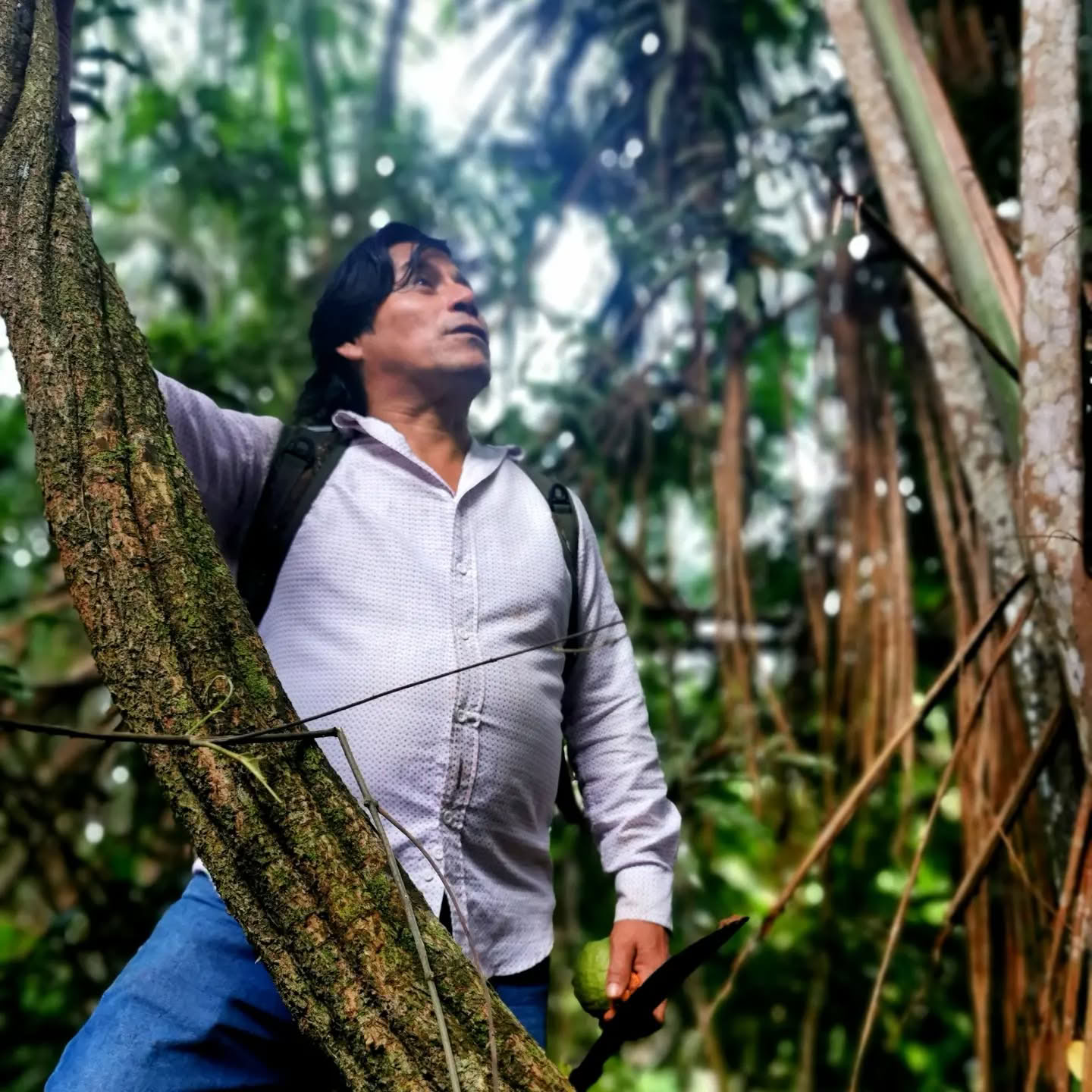 Retraite Ayahuasca de 7 jours
