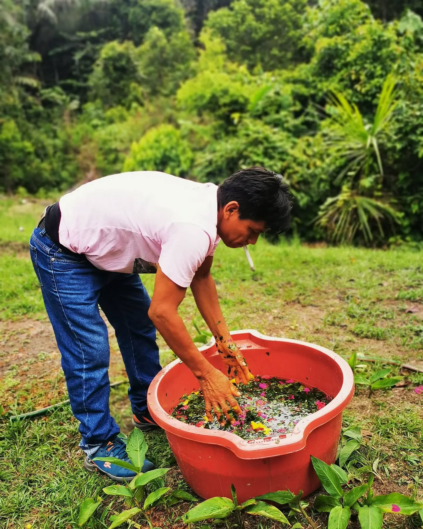 Retraite Ayahuasca de 14 jours