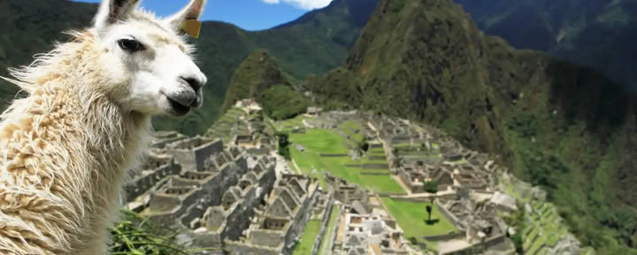 Retraite Ayahuasca de 7 jours et Machu Picchu : voyage sacré de guérison