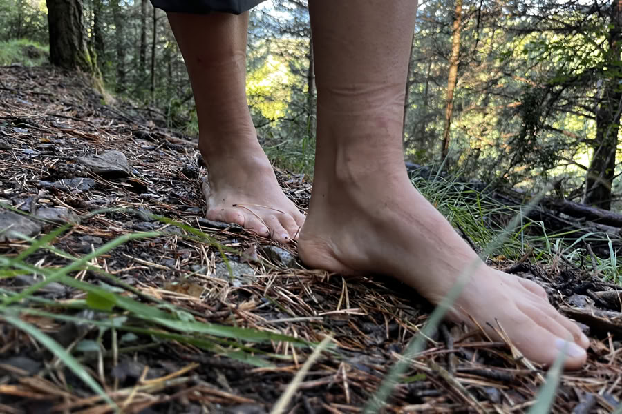 Dancing nature: Mouvement, Yoga, Art & Randonnée retraite