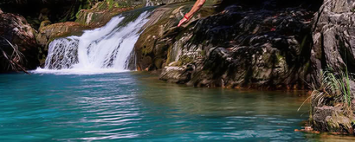 Dancing nature: Mouvement, Yoga, Art & Randonnée retraite