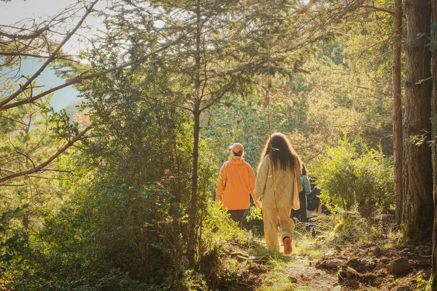 La paix dans la nature sauvage : retraite de yoga, d'art et de nature