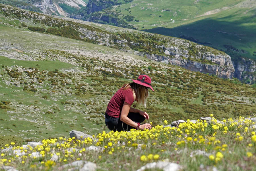 Reverence pour la vie : retraite de yoga, pleine conscience et randonnée