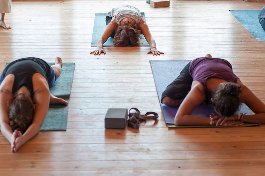 Reverence pour la vie : retraite de yoga, pleine conscience et randonnée