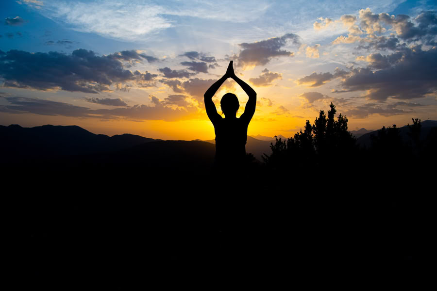 Bain de forêt : retraite de yoga, d’art et de nature