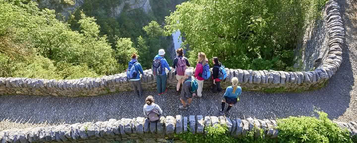 Bain de forêt : retraite de yoga, d’art et de nature