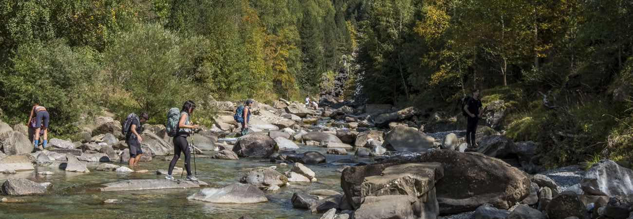 Reverence pour la vie : retraite de yoga, d'art et de nature