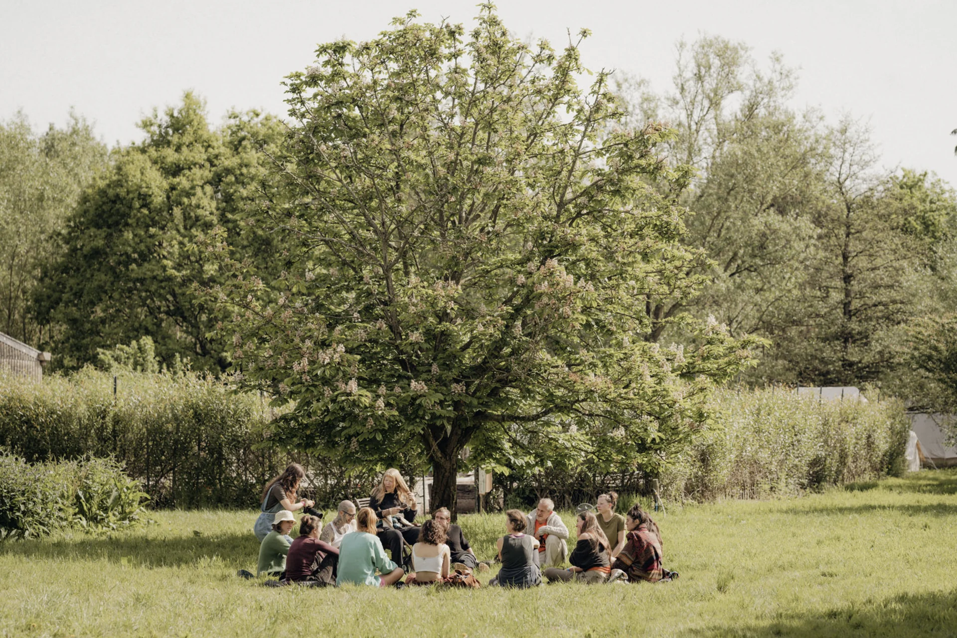 Camp Climat : Zéro et au-delà