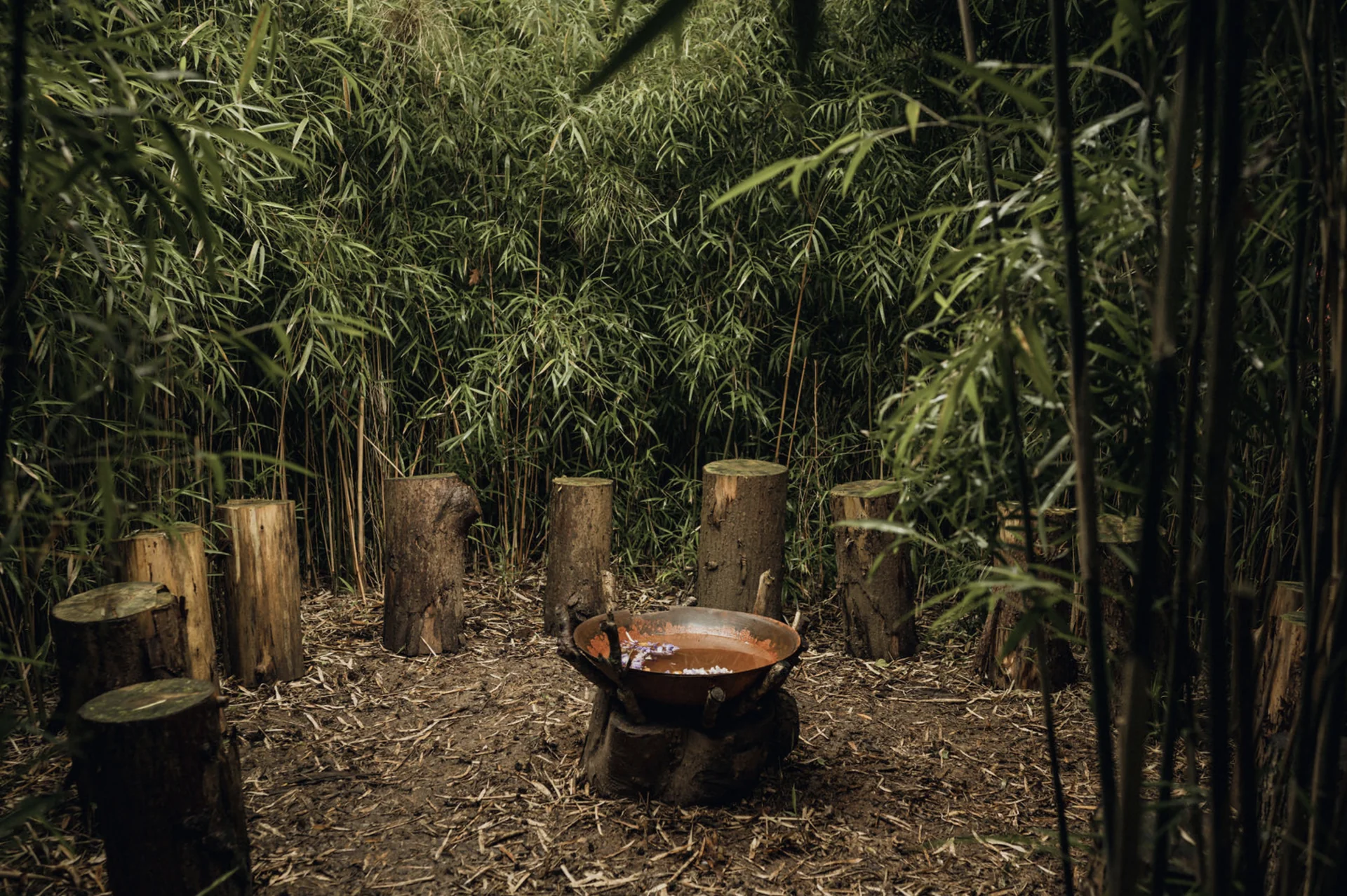Camp Climat : Zéro et au-delà
