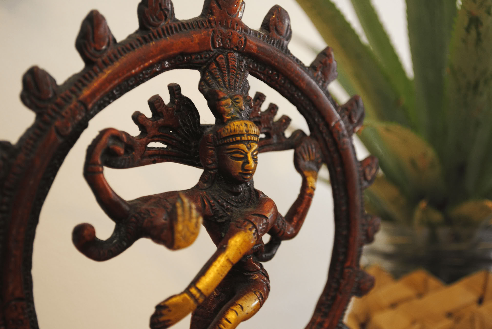 Retraite Sahrdaya Yoga