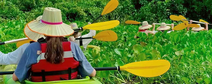 Cambodge -Temples, cyclisme, cascades, randonnée et kayak aventure — DBC Health Retraites Europe Retraites 2024