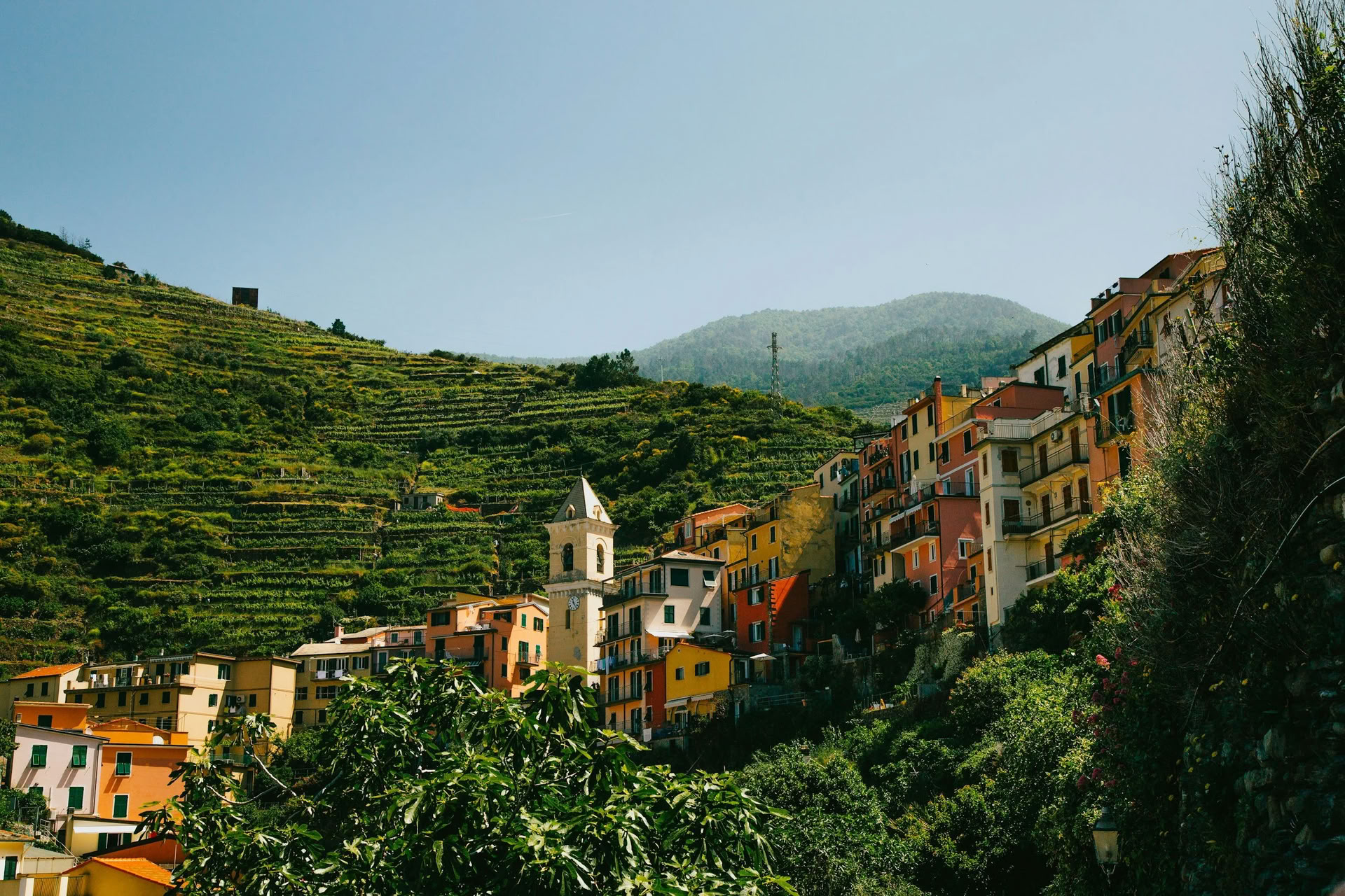 6 jours de retraite de Shaktipāt et de méditation avec Lina Leimonte, du 6 au 12 septembre 2026, à Olea Retreat, Italie