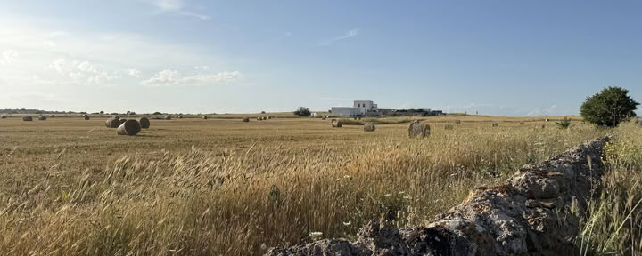 Conversations avec le lieu : une résidence créative à Masseria Specula