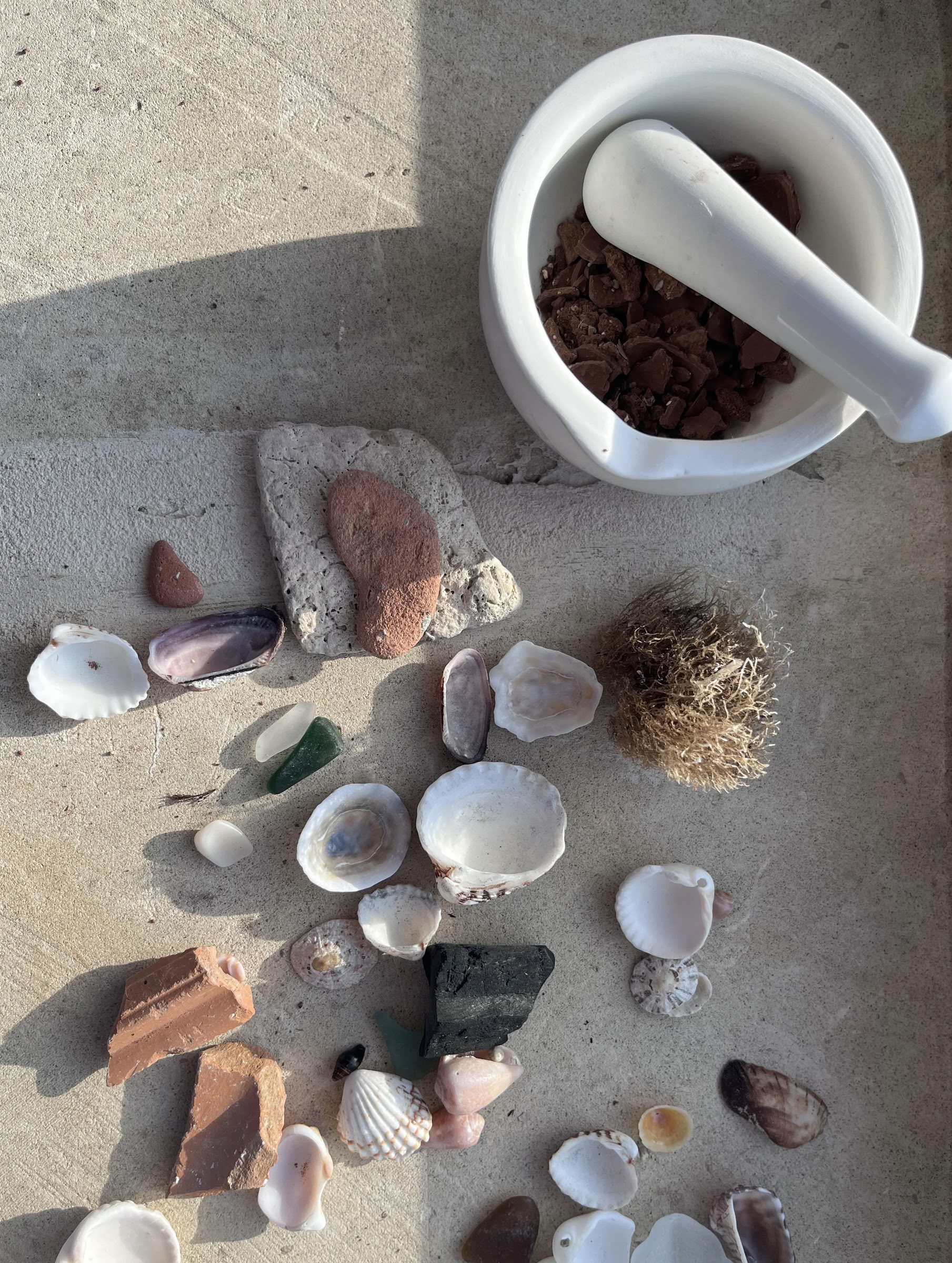 Visual Storytelling avec Wild Pigments