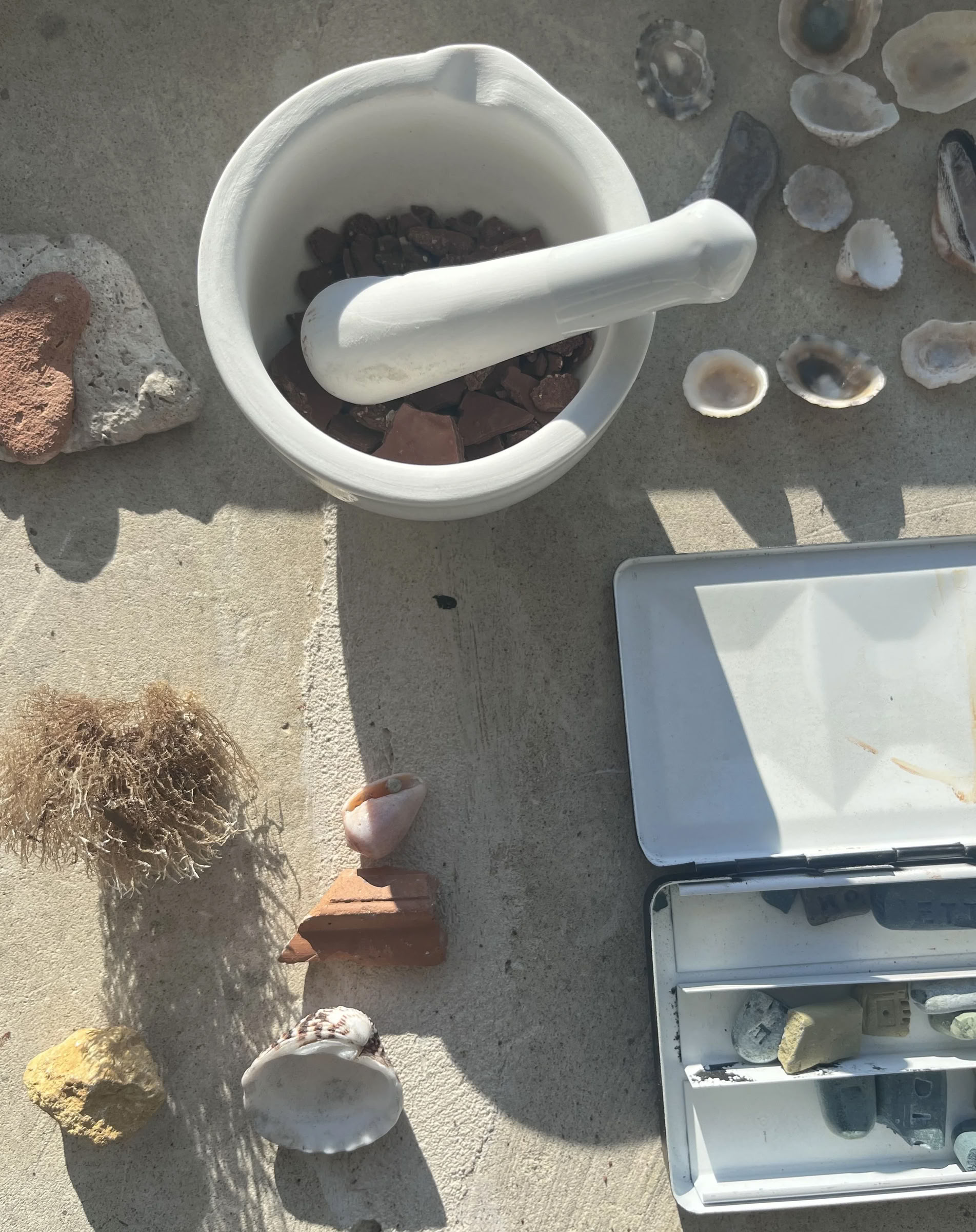 Visual Storytelling avec Wild Pigments