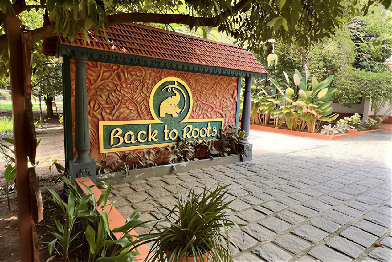 14 nuits Détox chez Back to Roots Ayurveda