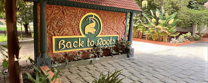 14 nuits Détox chez Back to Roots Ayurveda
