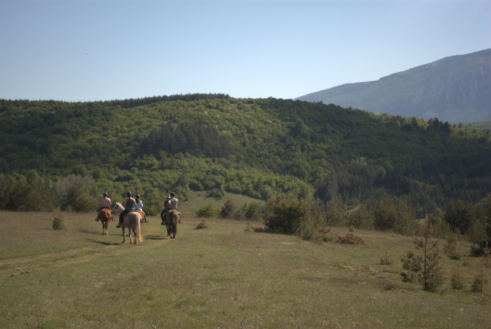Silent Healing With Horses – 27 sept. - 2 oct.