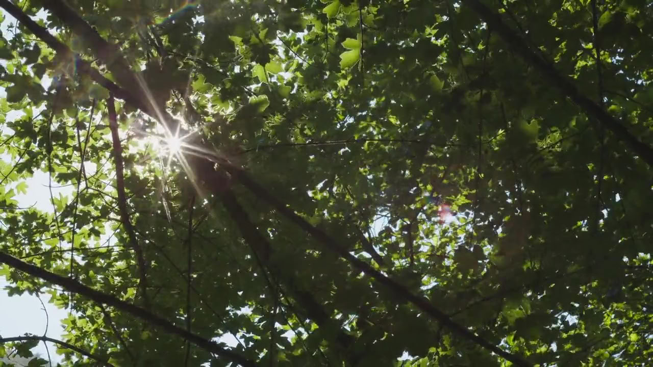 Retraite de Breathwork : Respirer et Commencer