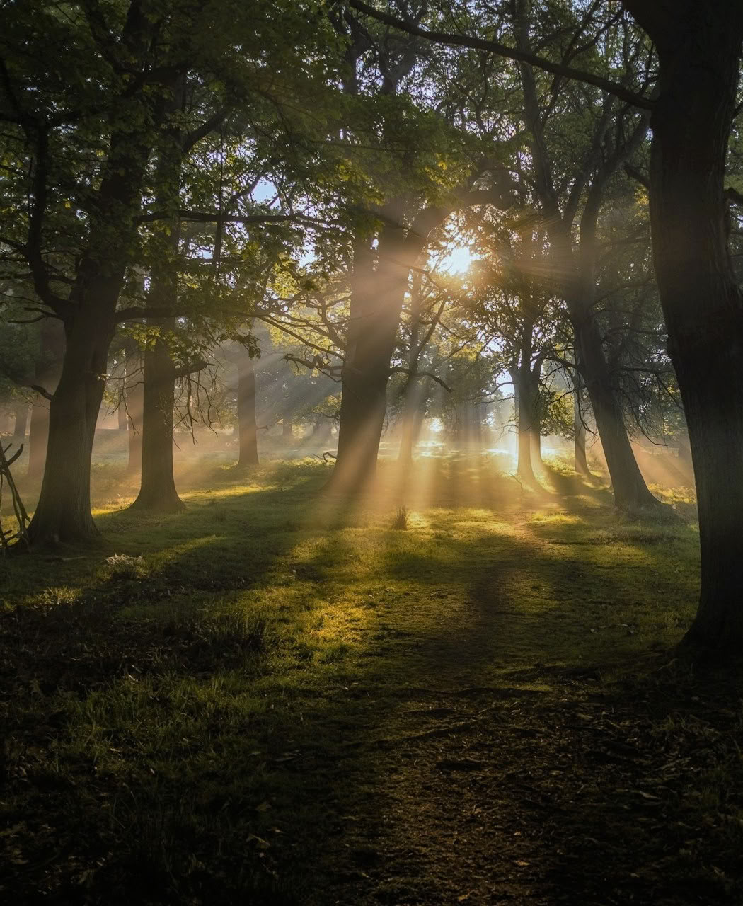 Retraite de Breathwork : Respirer et Commencer