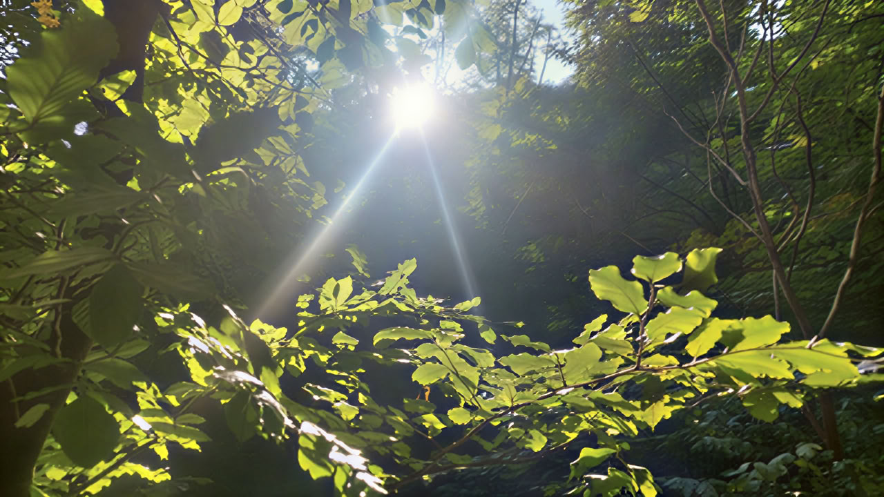 Achtsamkeit und Metta – Un week-end de yoga