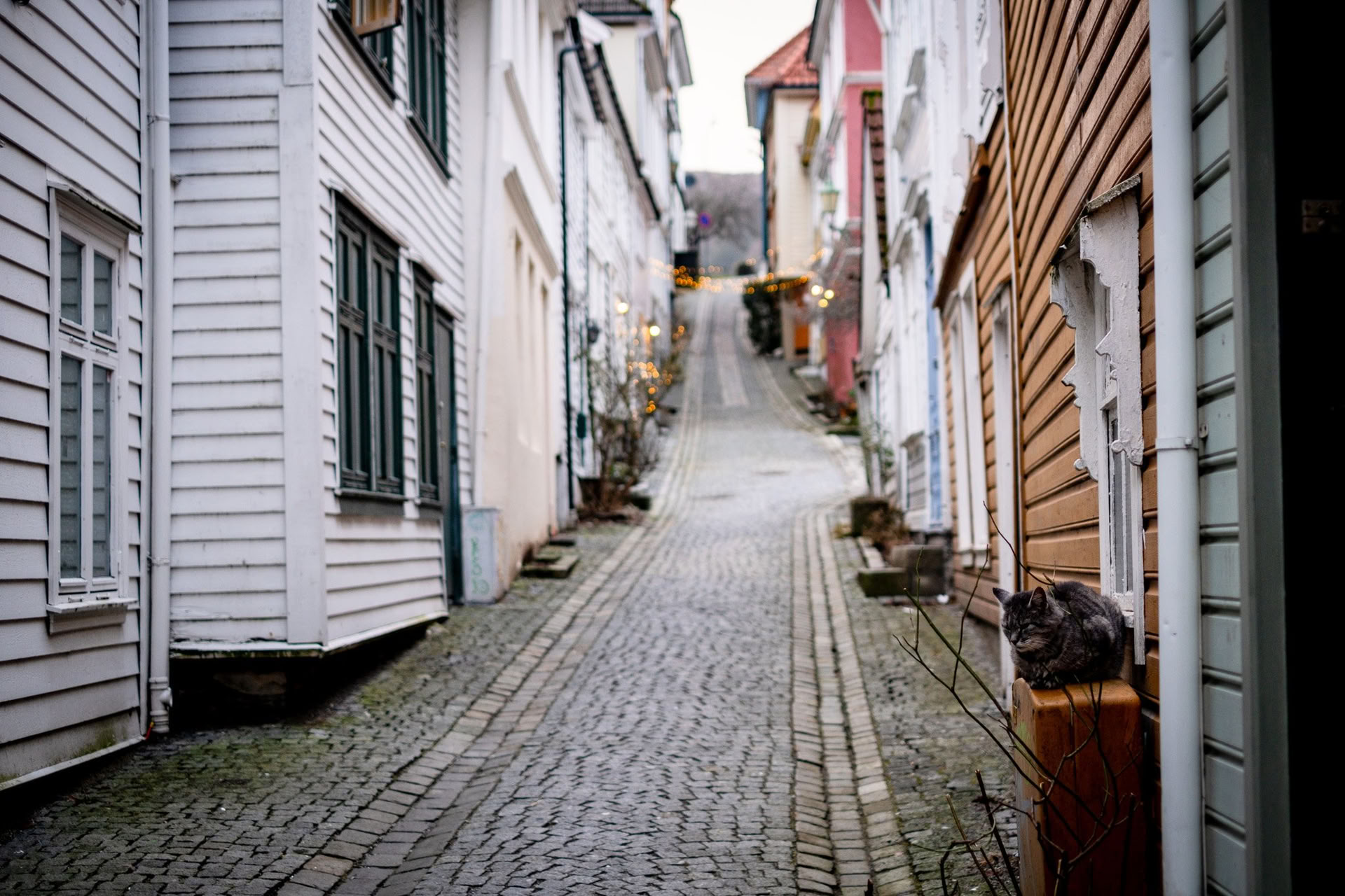 Norvège Yoga & Backpacking