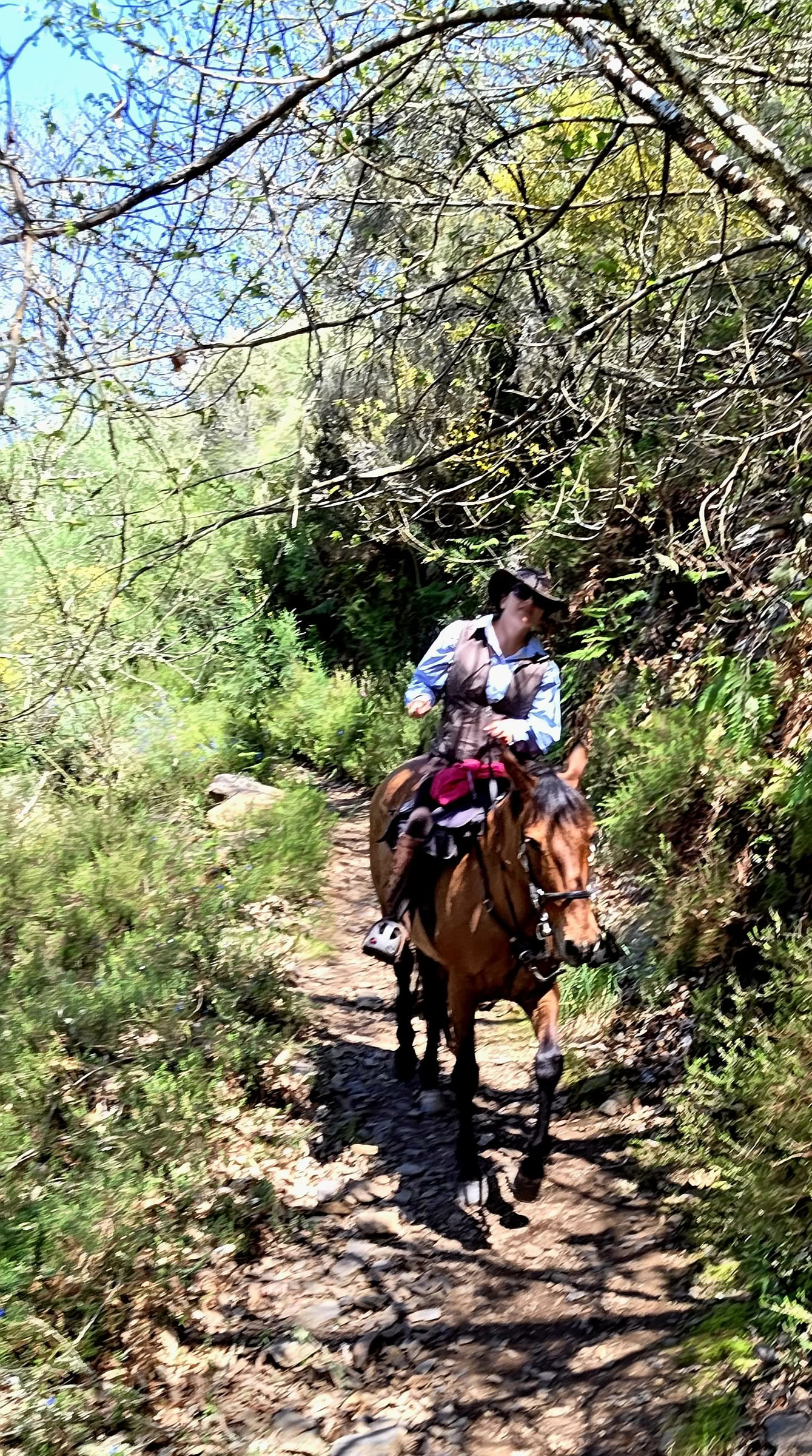 Trek de l'Éclipse sur le Camino