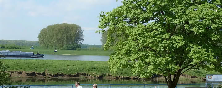 Samedi matin : Tango argentin