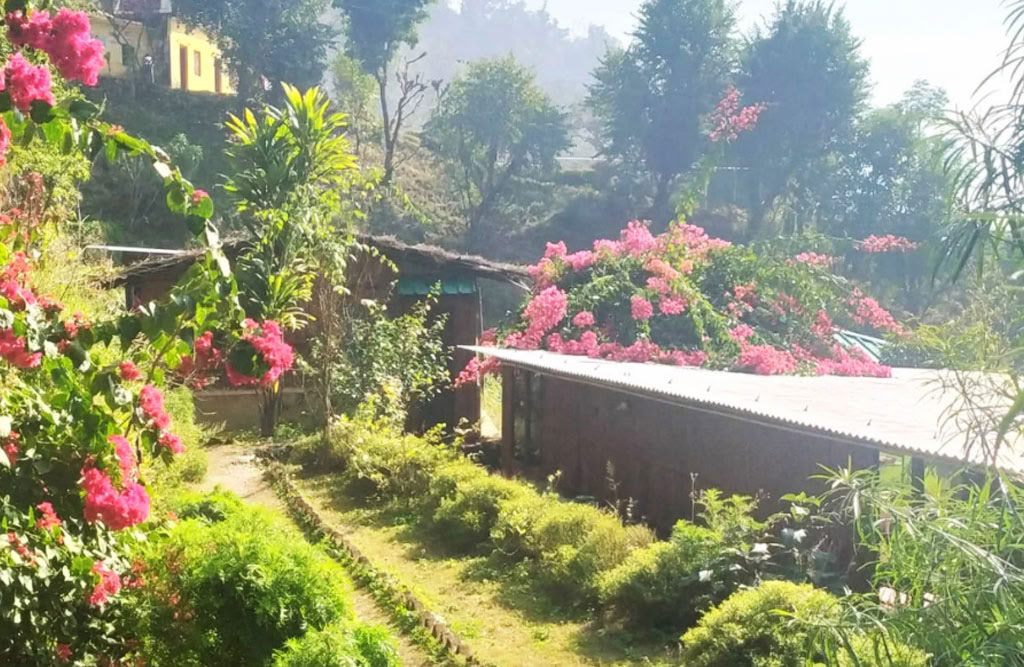 Formation de professeur de yoga de 100 heures à Rishikesh