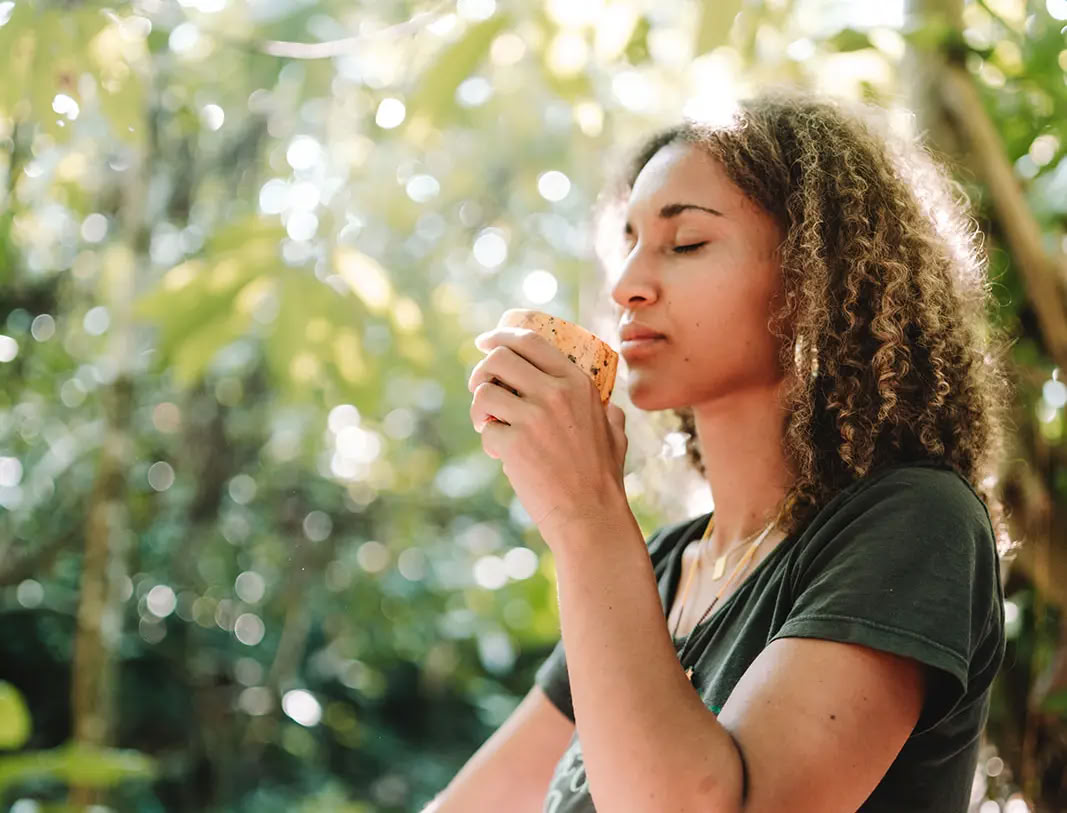 Programme de formation Source Cacao