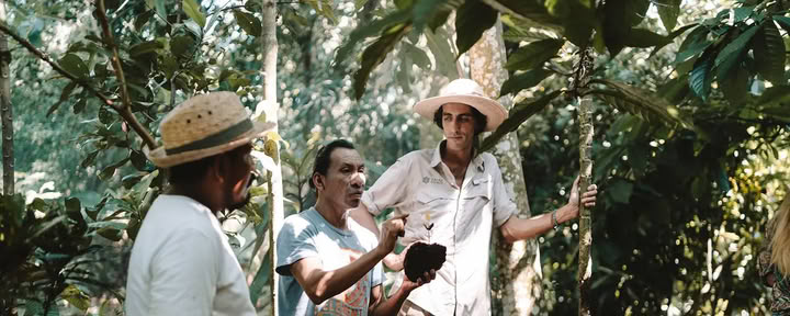 Programme de formation Source Cacao