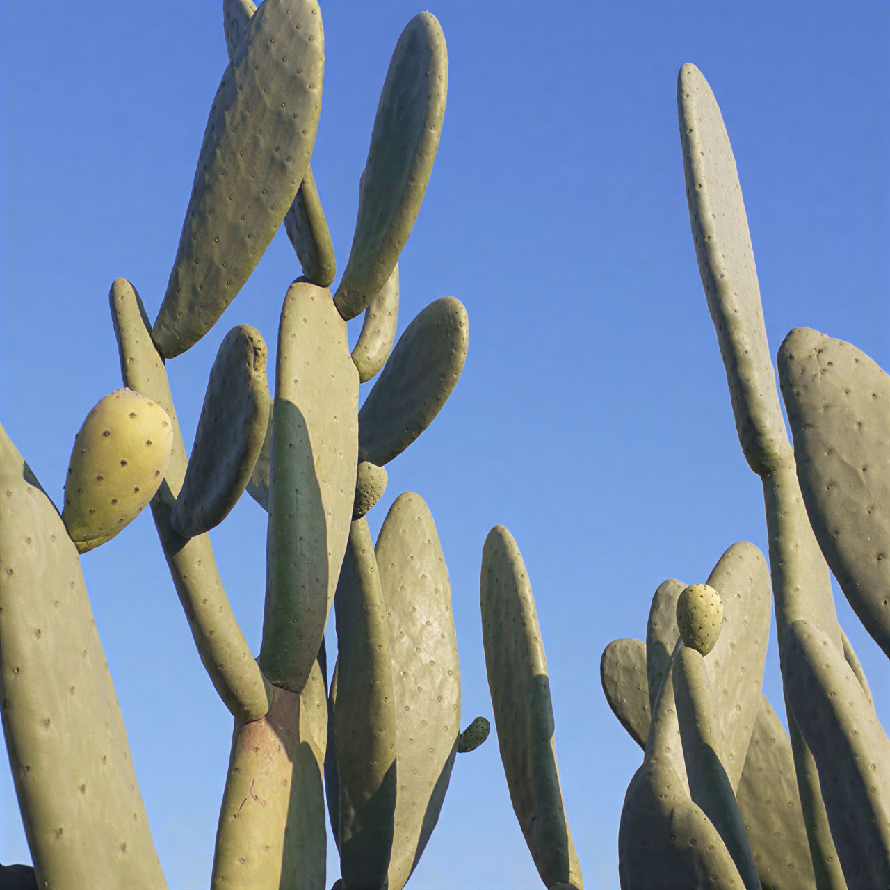 Summer Sun, Sea & Surrender en Italie : Yoga & Sound Healing pour le bien-être