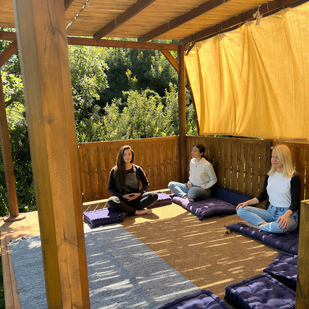Retraite de yoga et de récolte des olives