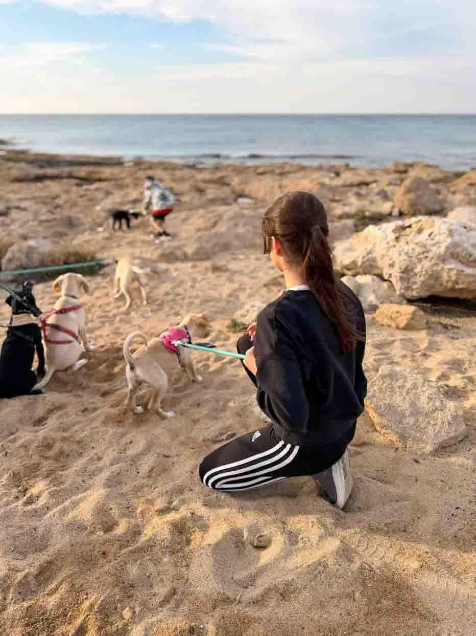 Promenade sur la plage avec des chiots