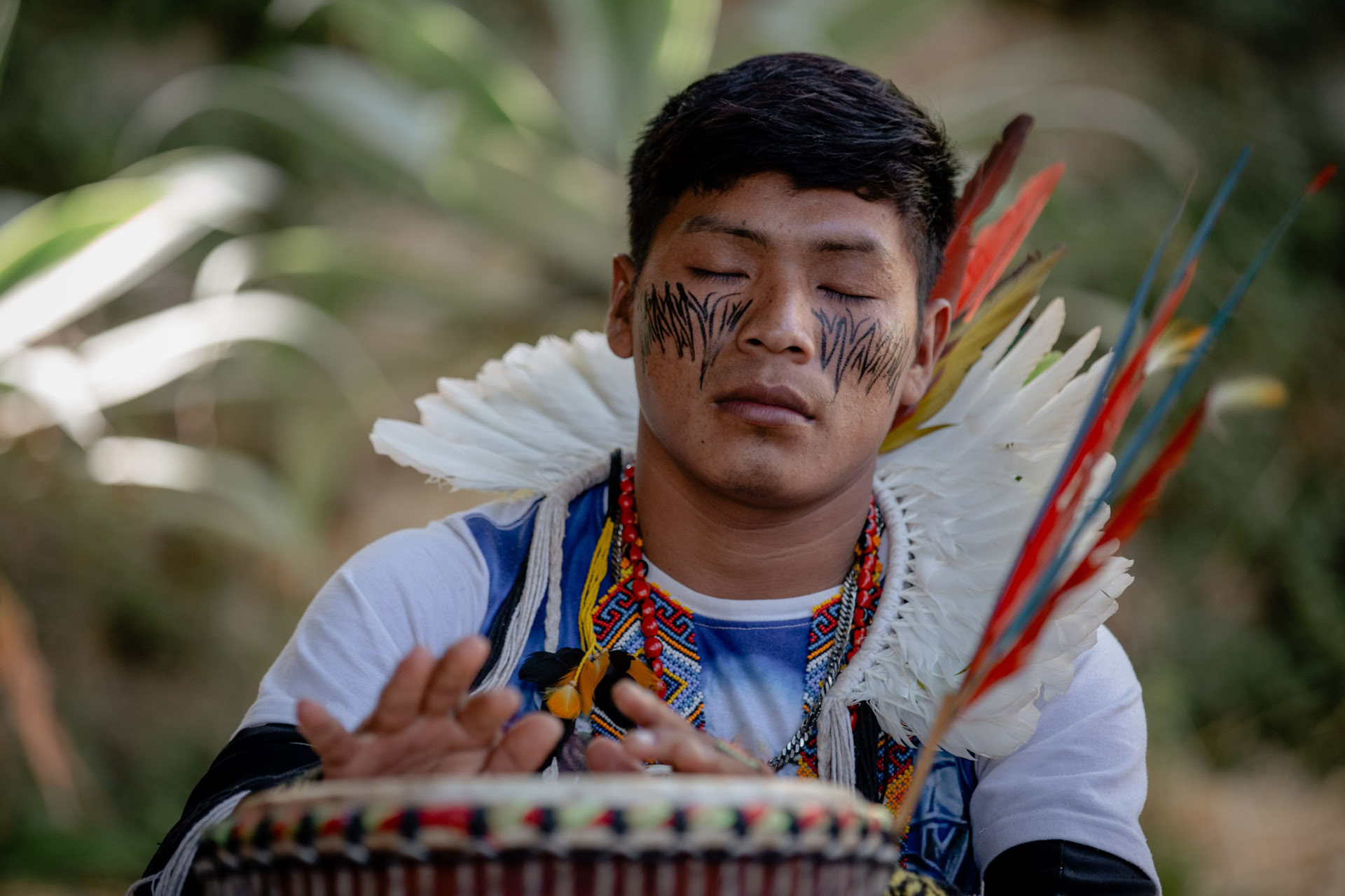 Cérémonies d’Ayahuasca