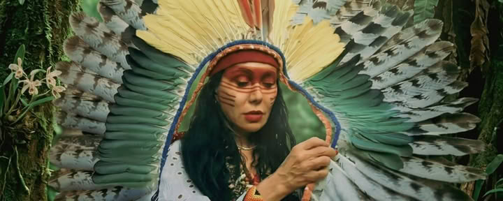 Cérémonies d’Ayahuasca