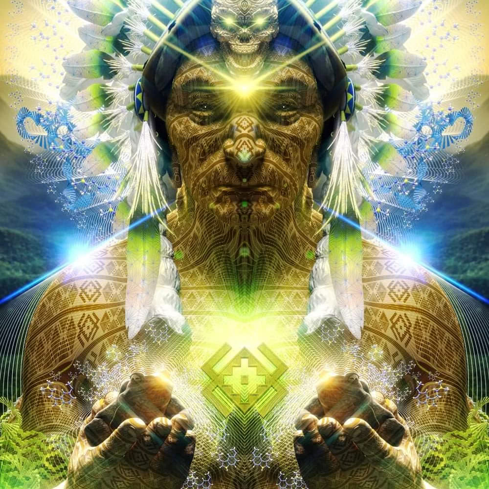 Retraite avec Ayahuasca et Bufo Alvarius