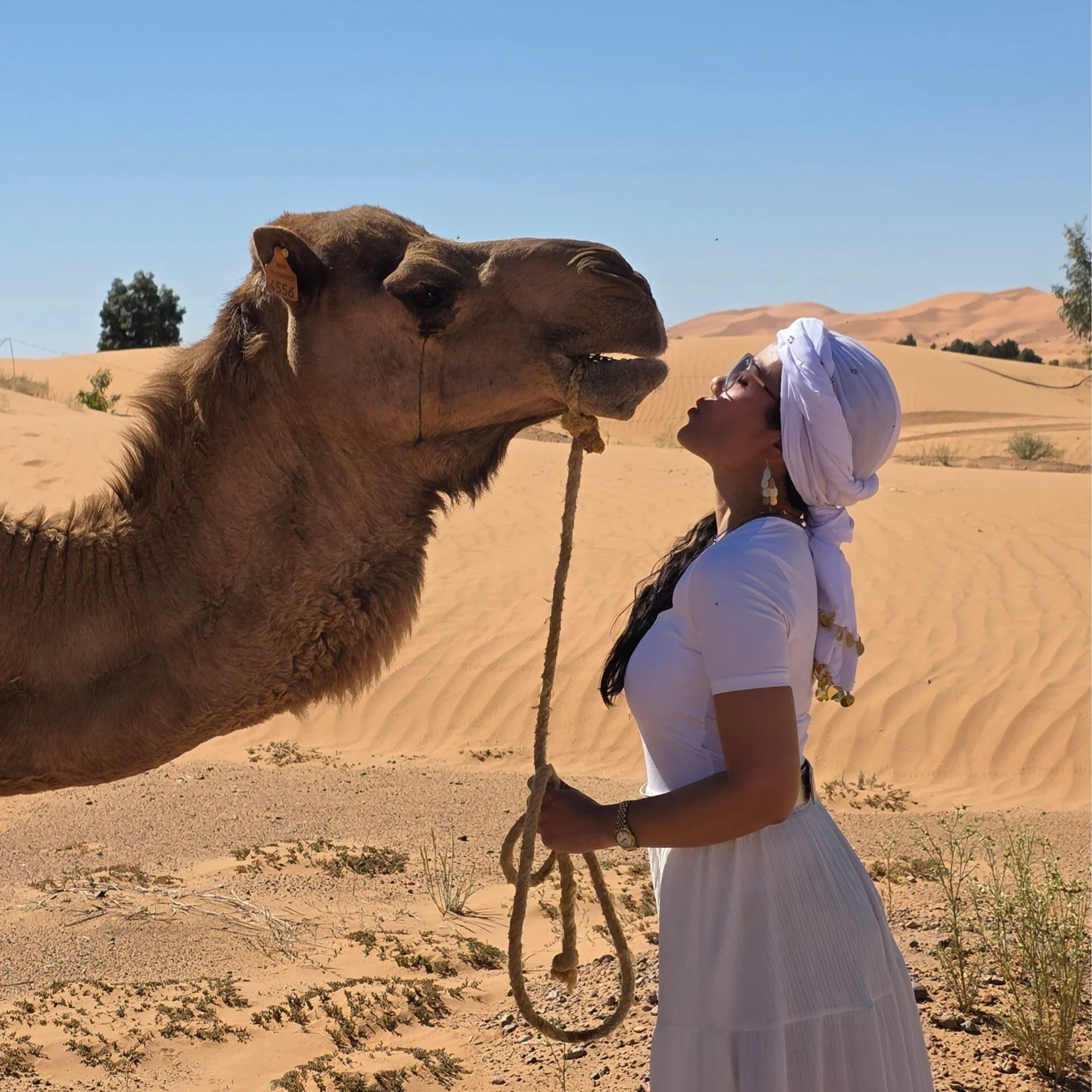 Feminine Fire Retraite Maroc – Yoga, Danse, Cérémonie du Cacao & Expérience dans le désert du Sahara