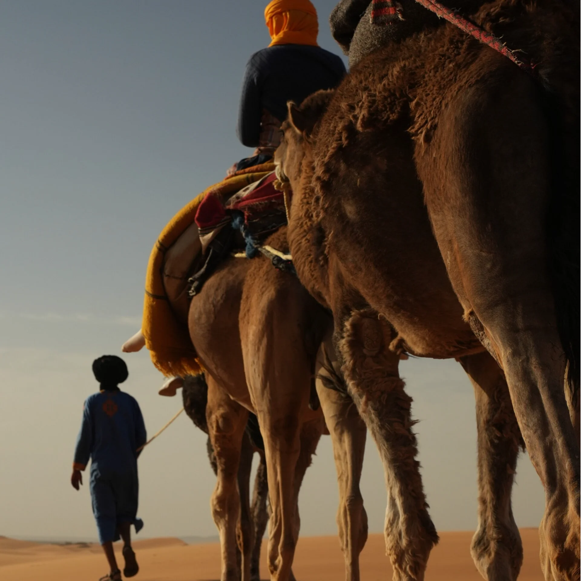 Yoga Caravan – 9 jours du nord du Maroc aux dunes de Merzouga
