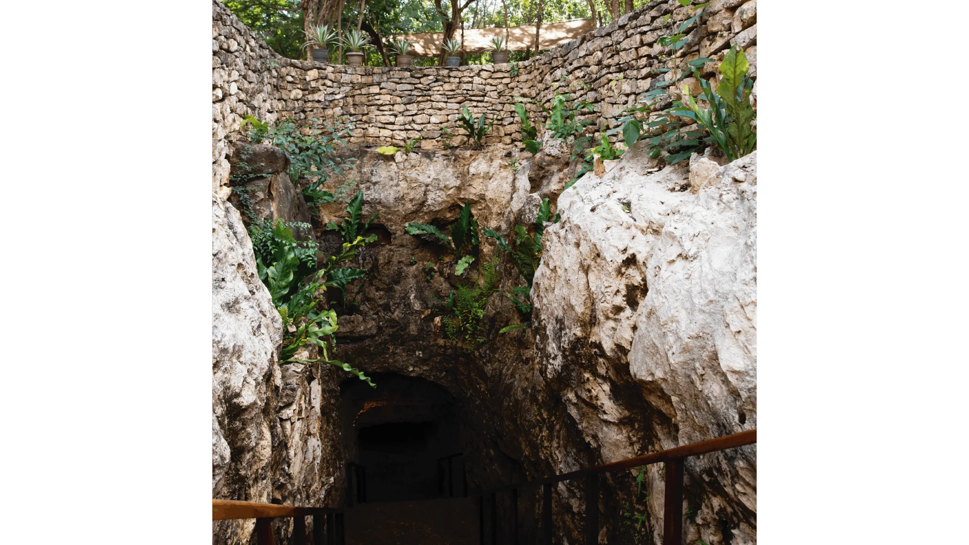 Eau et Feu – Cenote et Temazcal