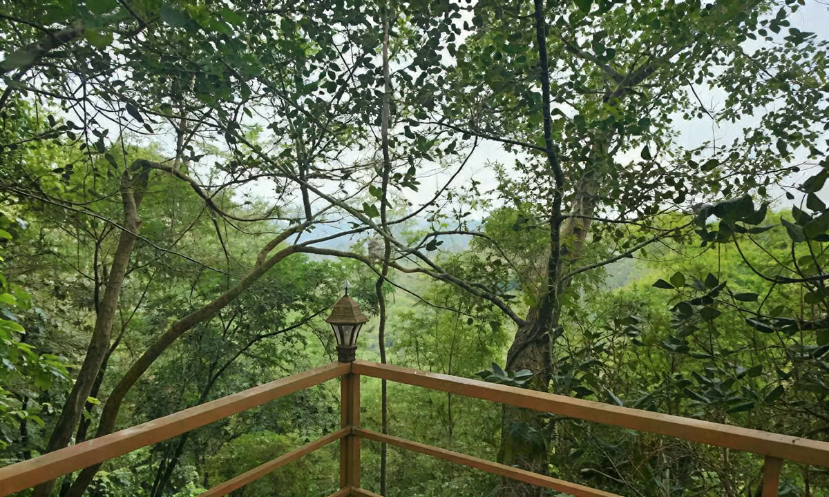 TRAITEMENT PANCHAKARMA DE 28 JOURS AU KERALA