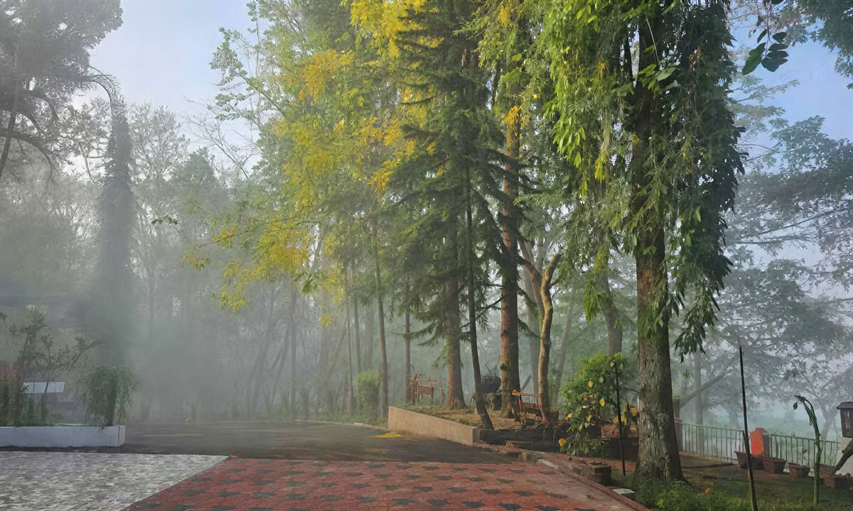 TRAITEMENT PANCHAKARMA DE 28 JOURS AU KERALA