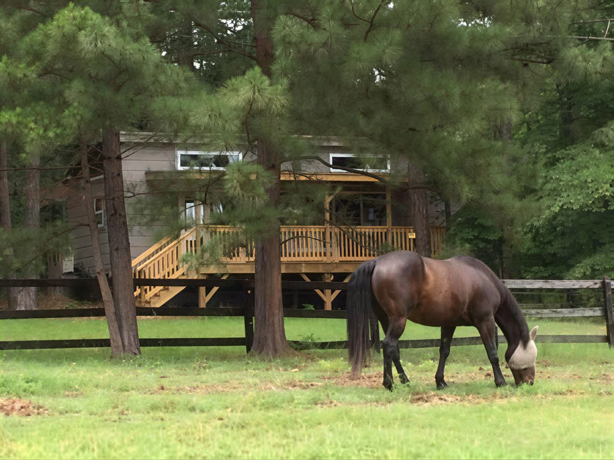 Horse Harmony : Une retraite de 3 jours pour l’équilibre et le bien-être des femmes