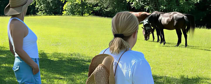 Horse Harmony : Une retraite de 3 jours pour l’équilibre et le bien-être des femmes