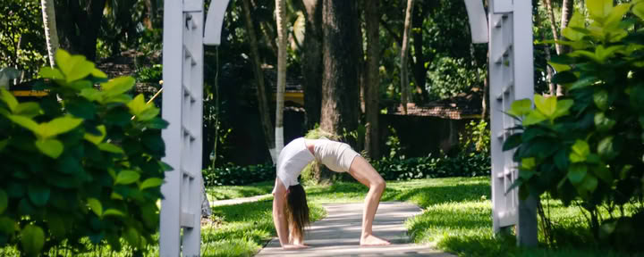 Yoga thérapie bien-être digestif et santé intestinale Agni Dipanam Yoga Chikitsa