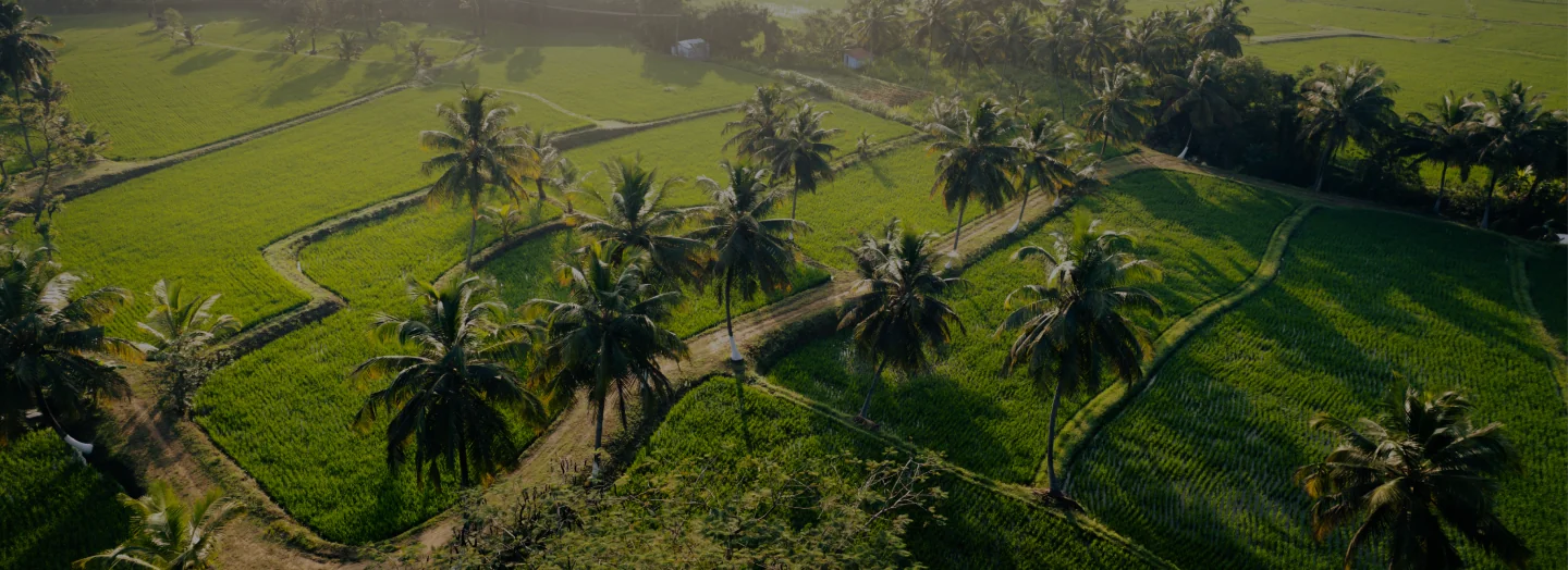 Programme Ayurveda de 10 jours