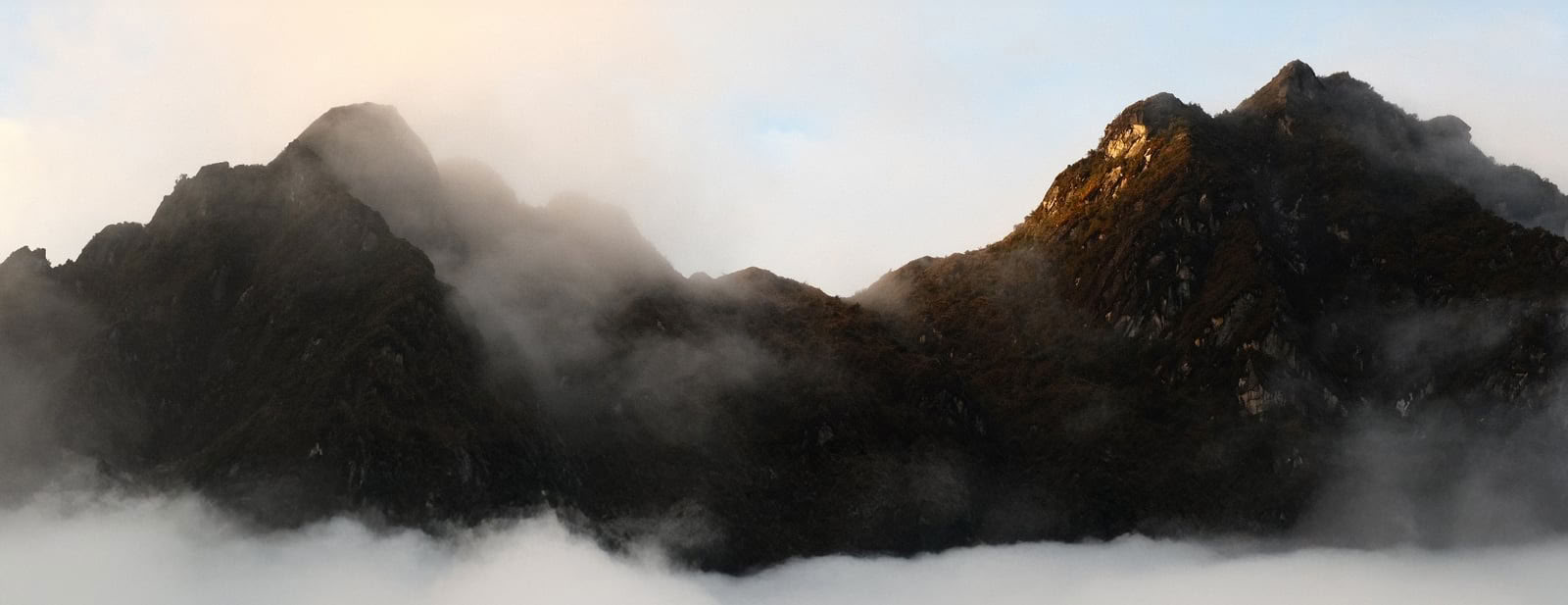 7 jours de retraite Ayahuasca